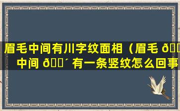 眉毛中间有川字纹面相（眉毛 💮 中间 🌴 有一条竖纹怎么回事）